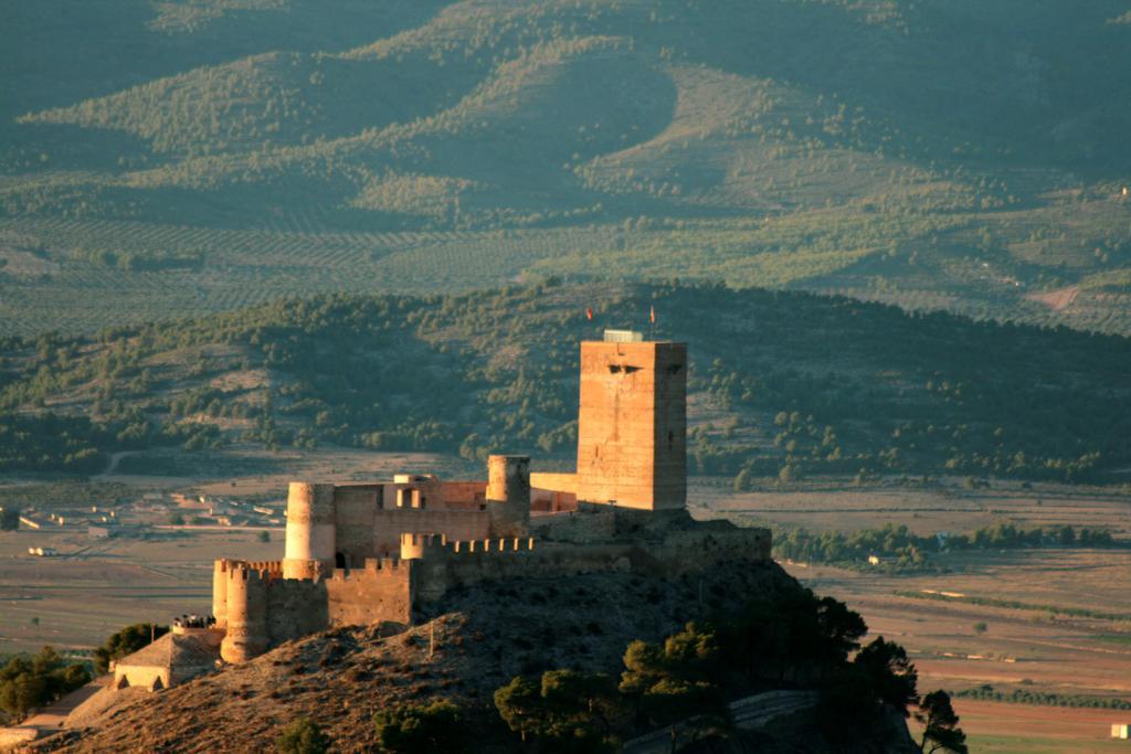 Jamarauja *